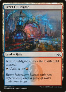 Izzet Guildgate (251) [Guilds of Ravnica]